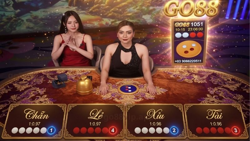 Vì Sao Nhiều Người Thua Xóc Dĩa? — 7 Nguyên Nhân Từ Toán Học Đến Tâm Lý